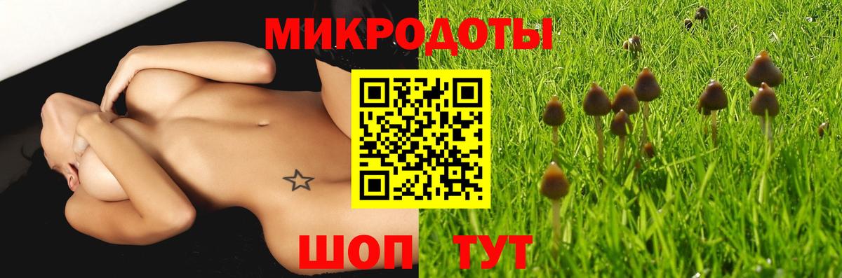 Фролово  Псилоцибиновые грибы Cubensis  Вход с VPN  Псилоцибиновые грибы Psilocybe 